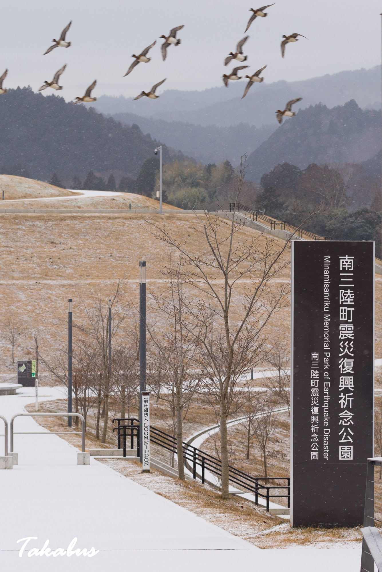 20260124_081151_気仙沼・陸前高田_01