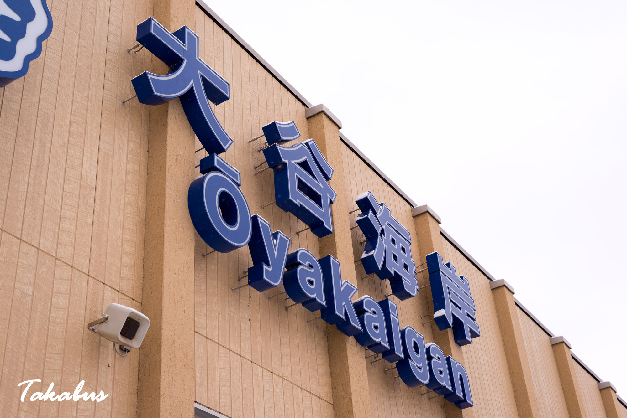 20260124_093713_気仙沼・陸前高田_08