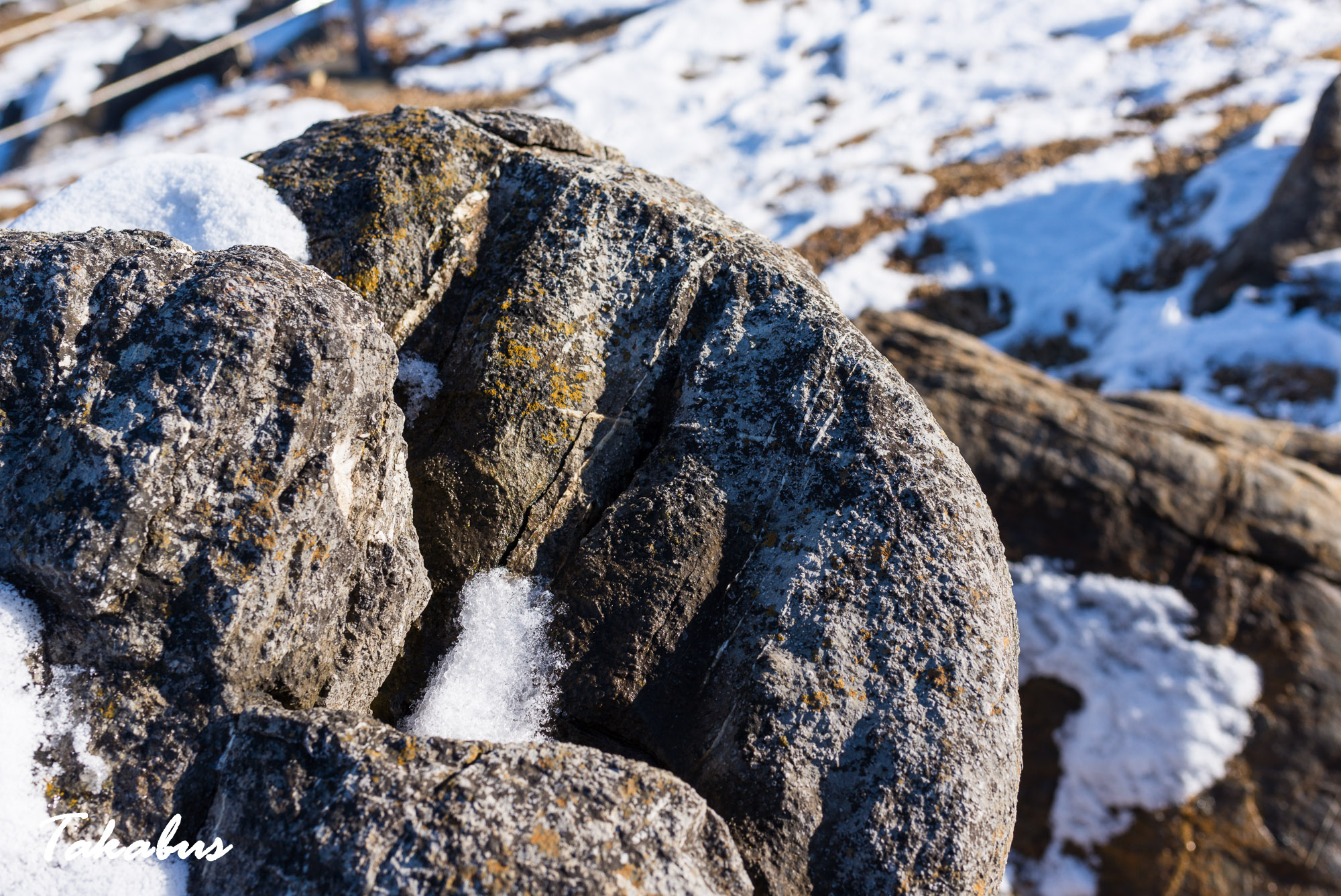 20260124_132749_気仙沼・陸前高田_27