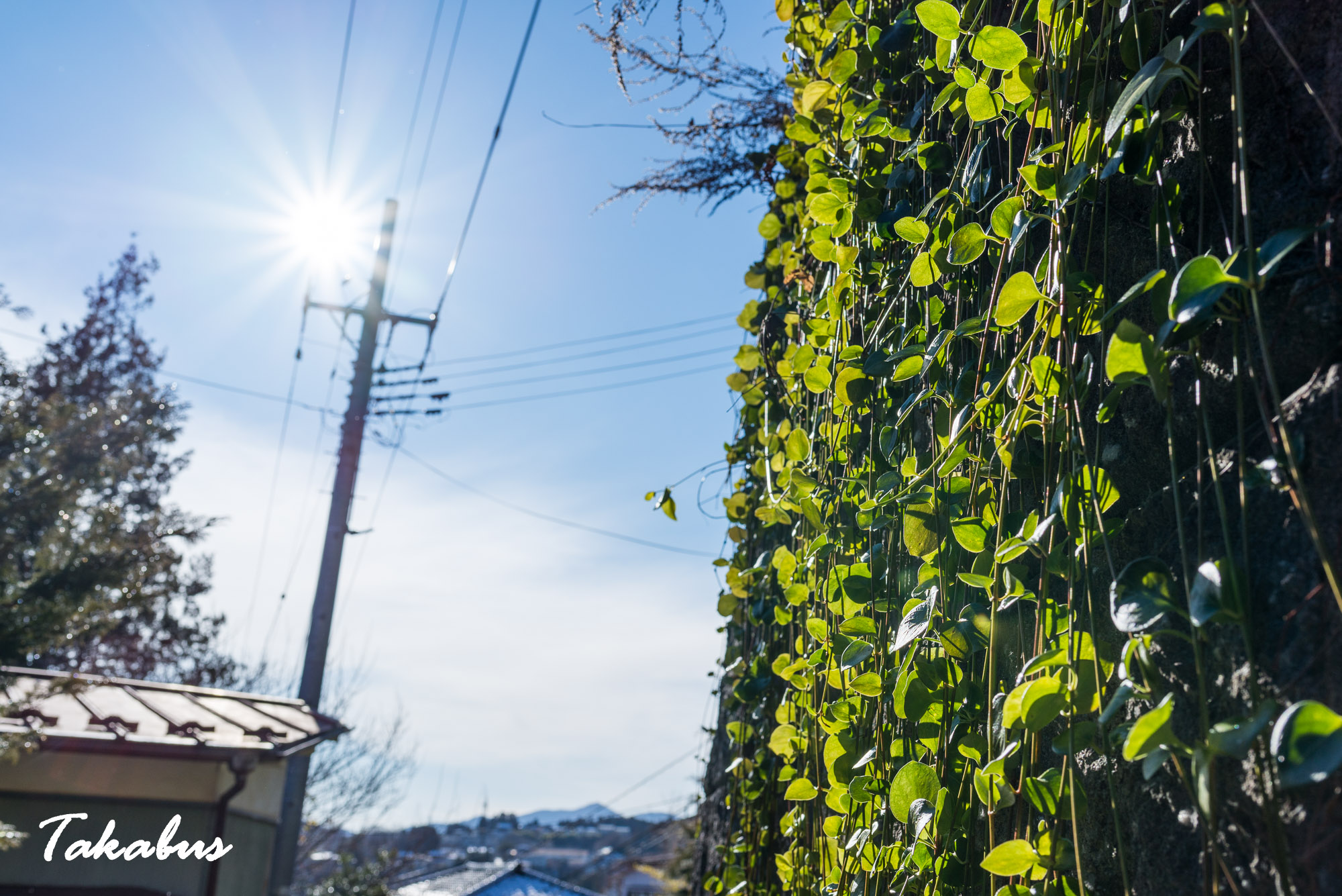 20260124_133556_気仙沼・陸前高田_33