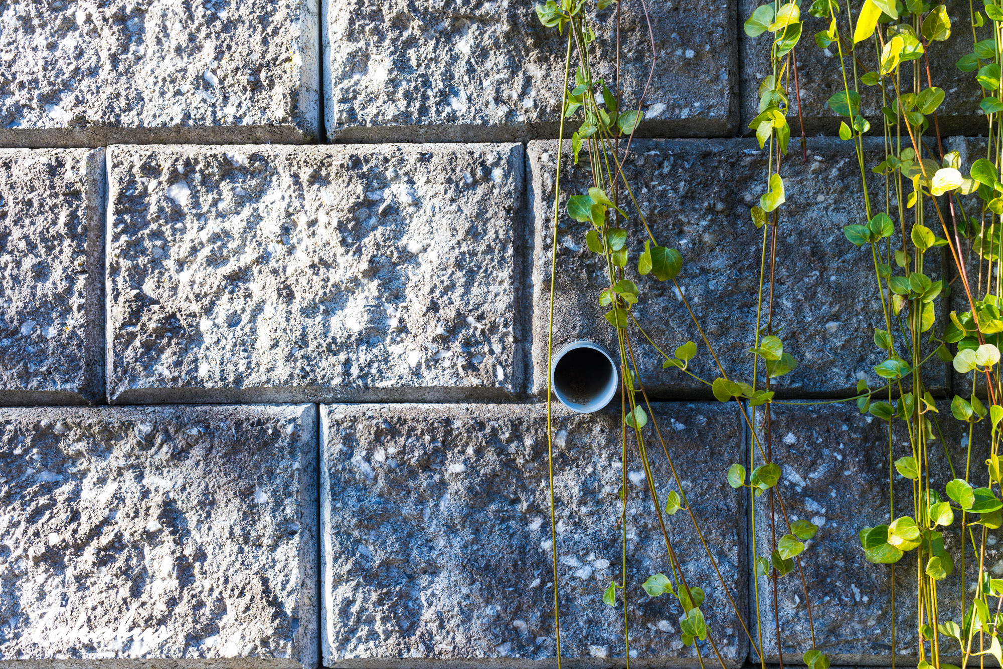 20260124_133614_気仙沼・陸前高田_34