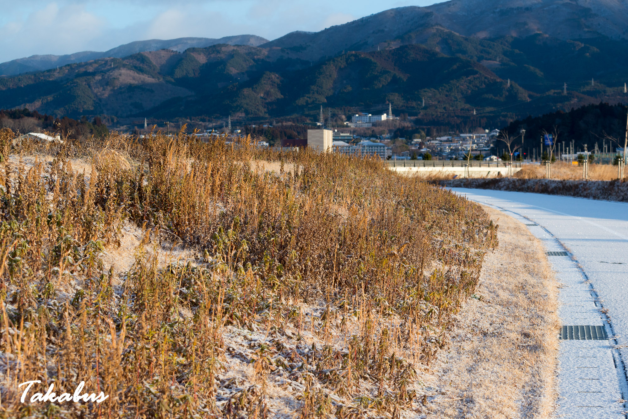 20260125_072220_陸前高田_13