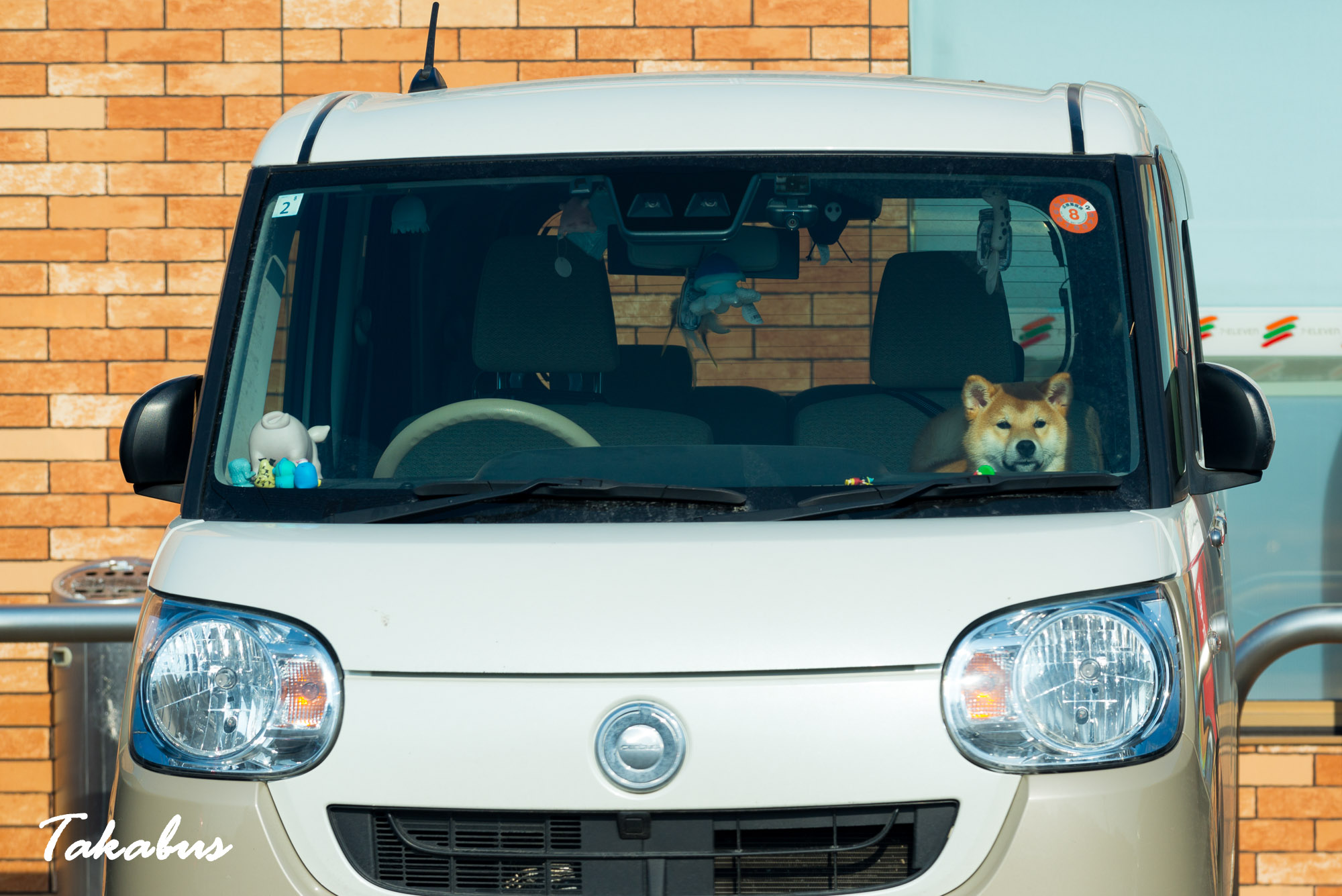 20260214_092521_会津・猪苗代_05