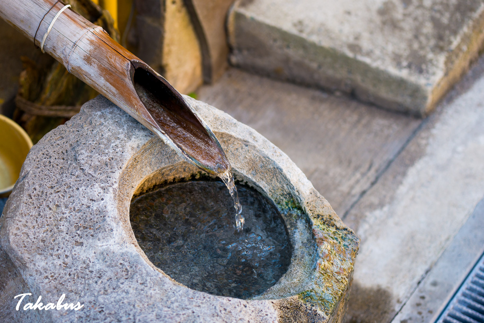 20260214_114630_会津・猪苗代_16