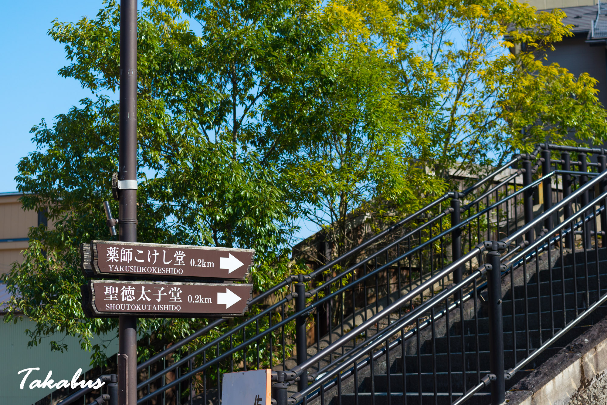 20260214_115008_会津・猪苗代_18