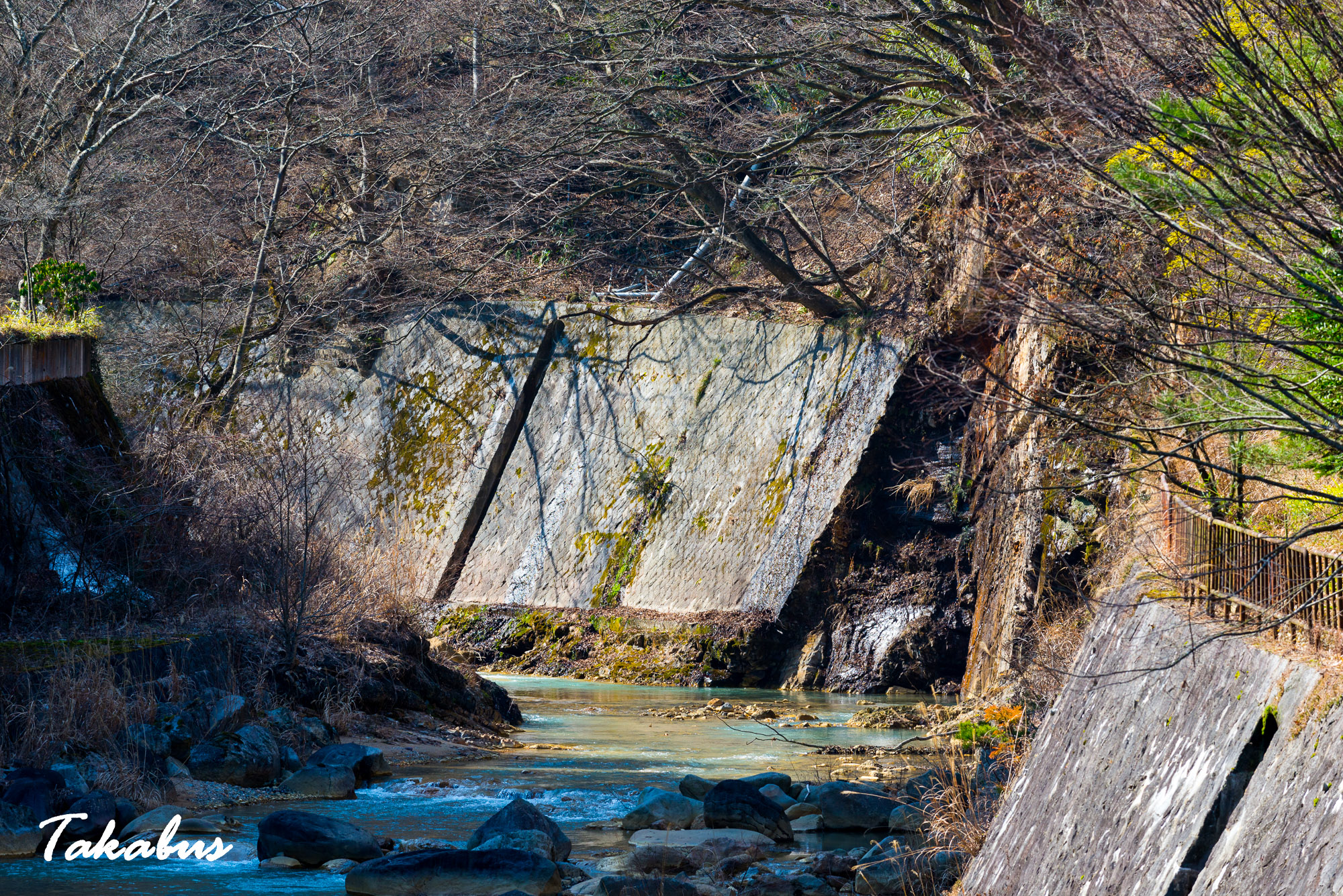 20260214_115226_会津・猪苗代_19