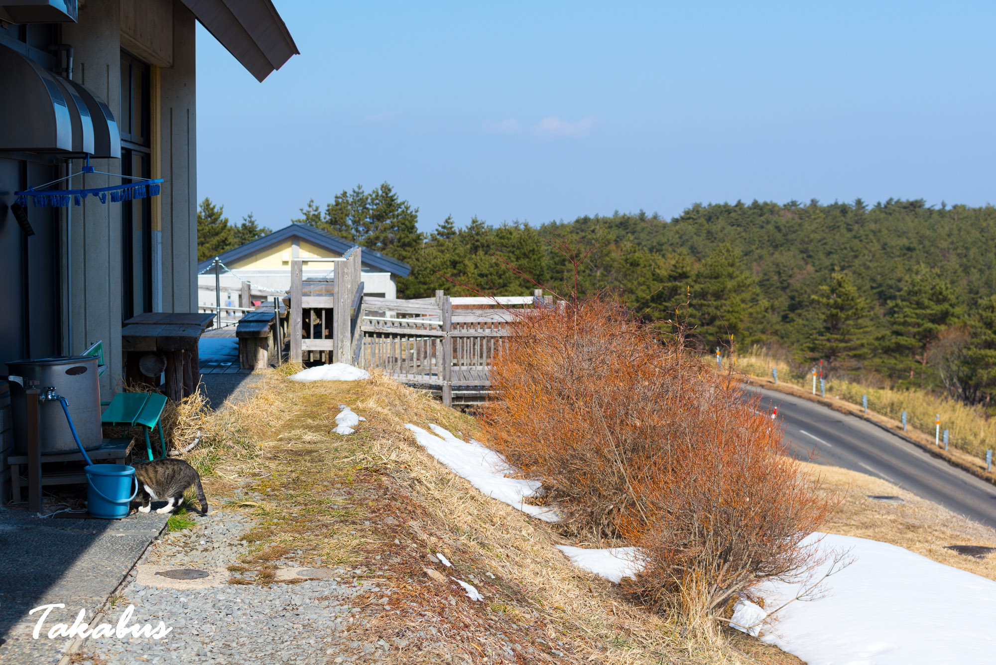 20260214_130257_会津・猪苗代_24