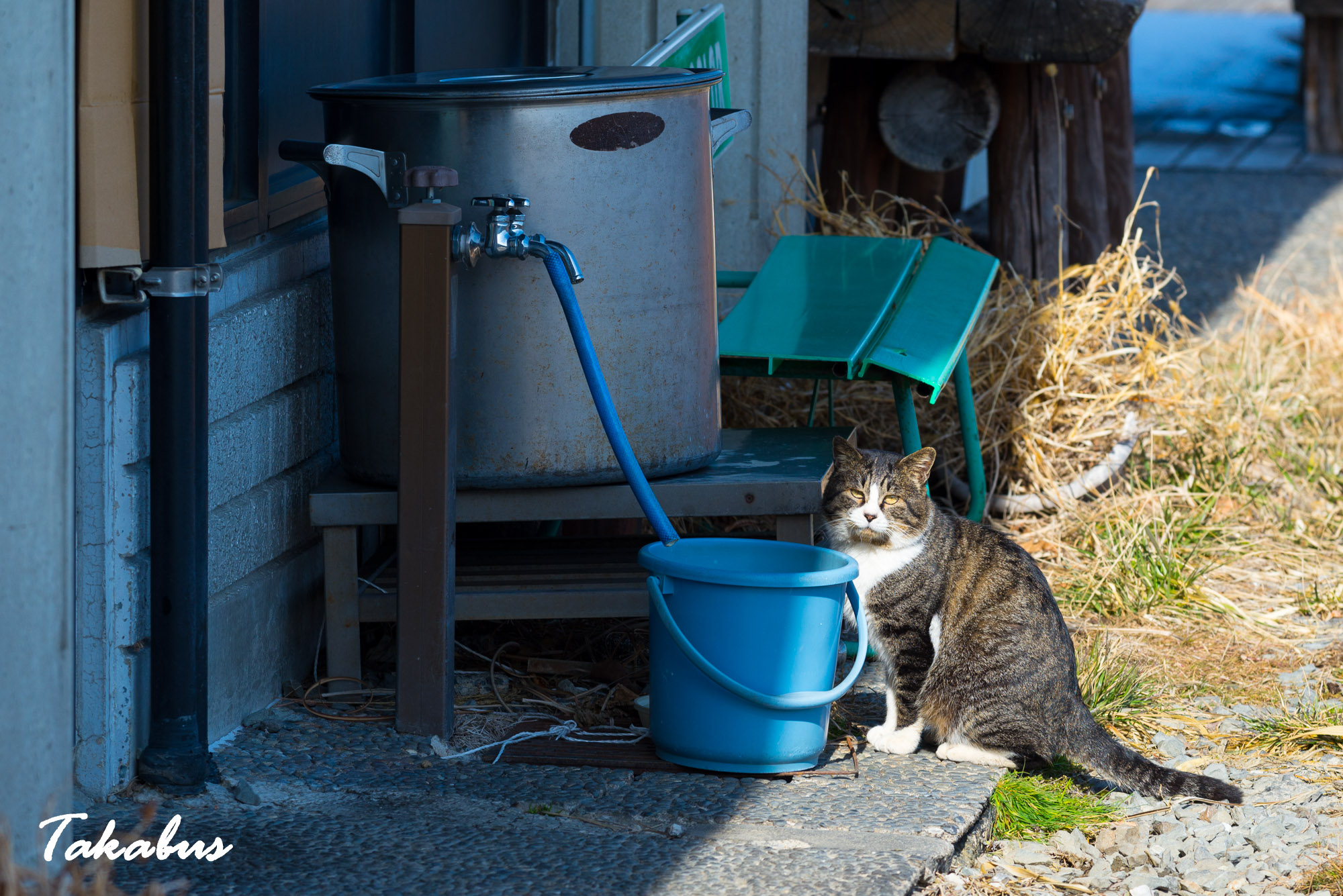 20260214_130303_会津・猪苗代_25