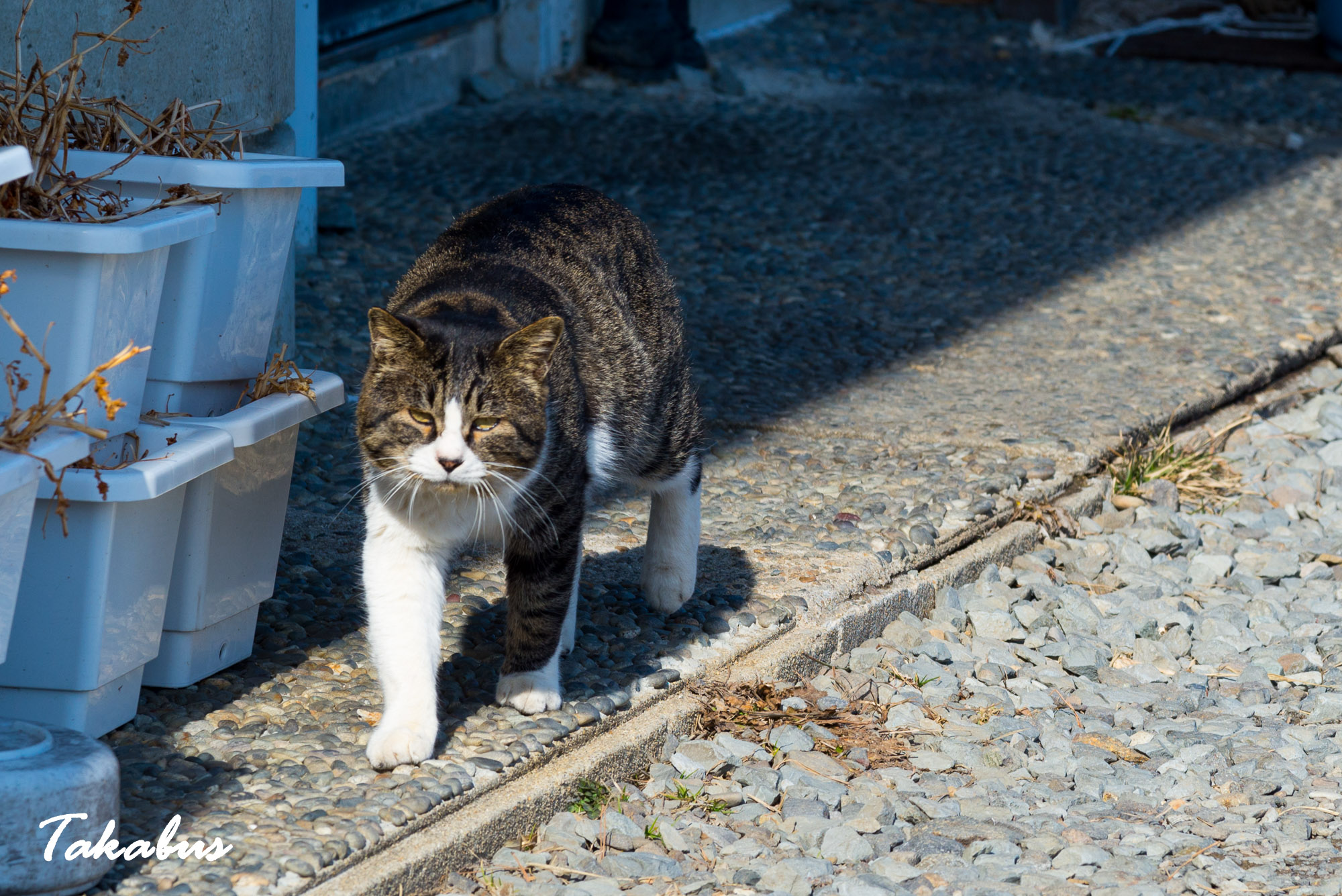 20260214_130348_会津・猪苗代_26