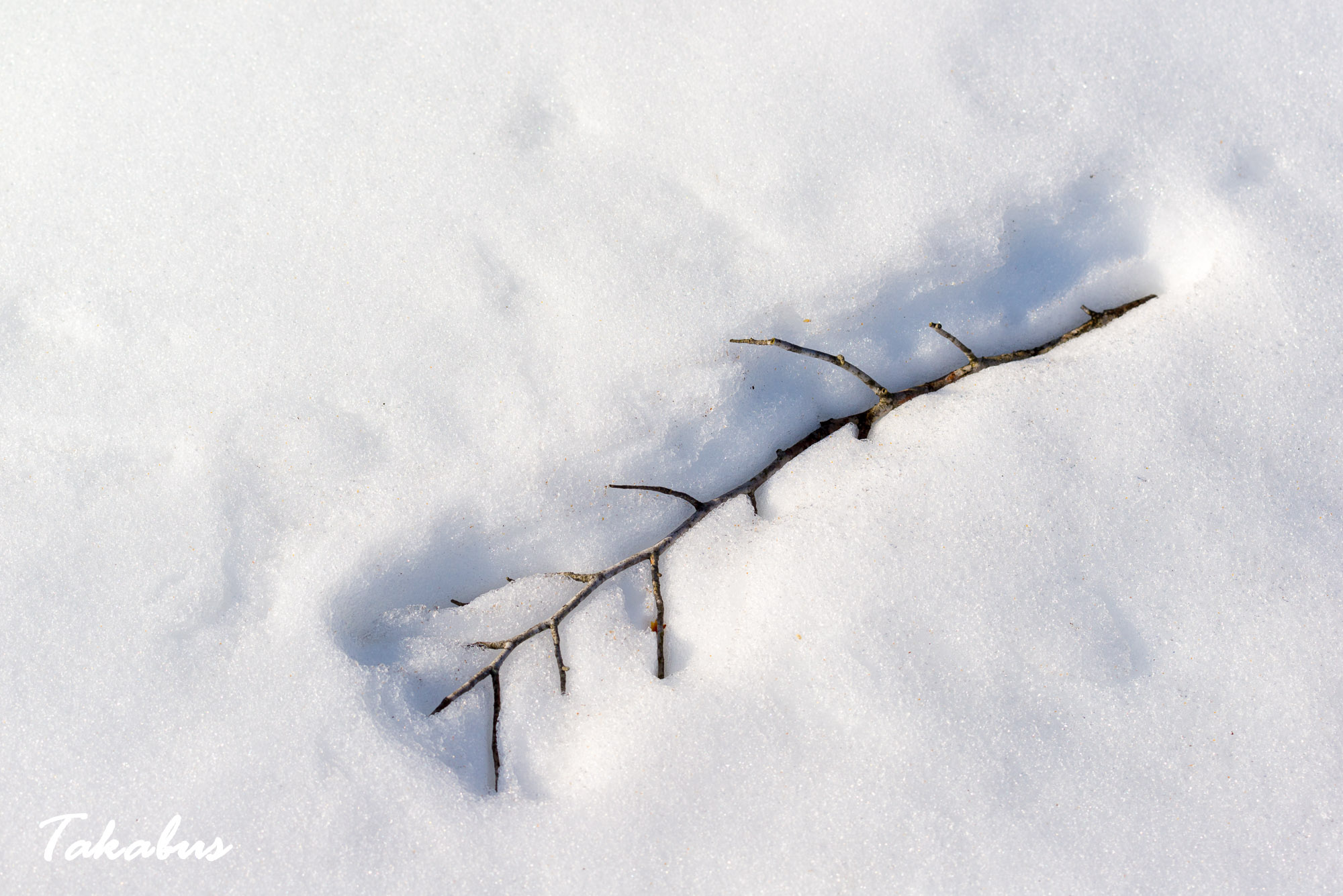 20260215_085305_会津・猪苗代_59