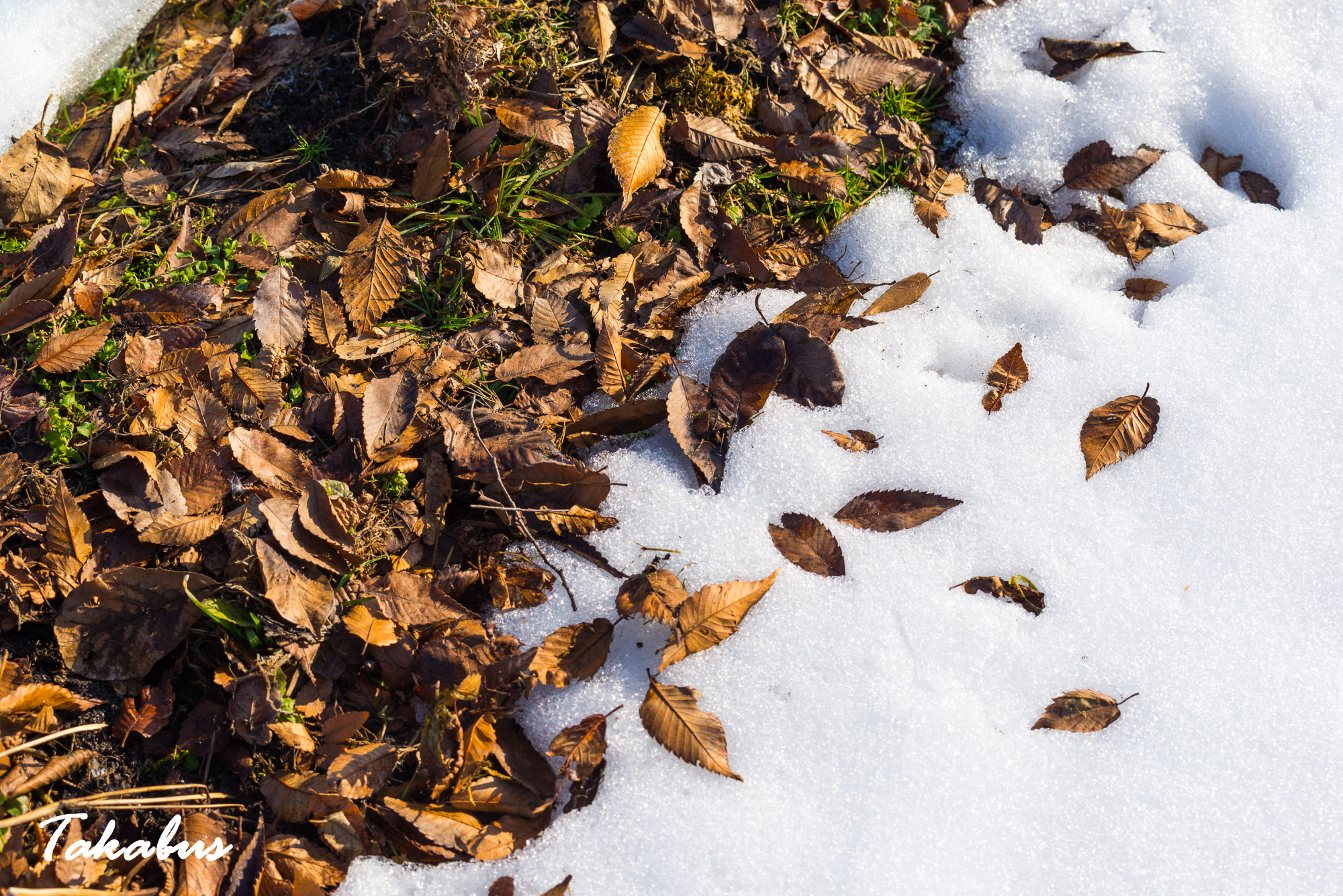 20260215_085448_会津・猪苗代_60