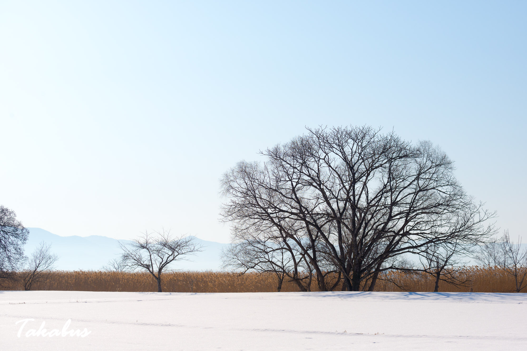 20260215_085631_会津・猪苗代_61