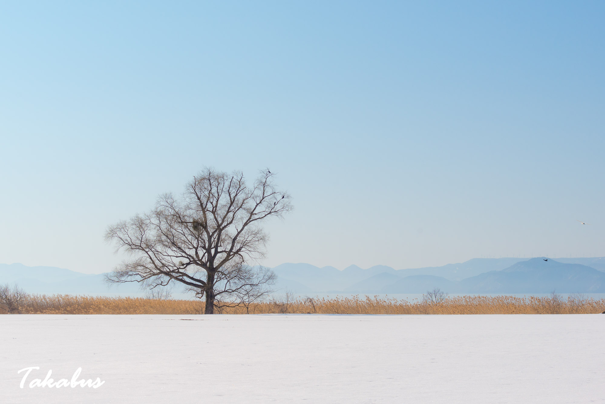 20260215_092115_会津・猪苗代_63