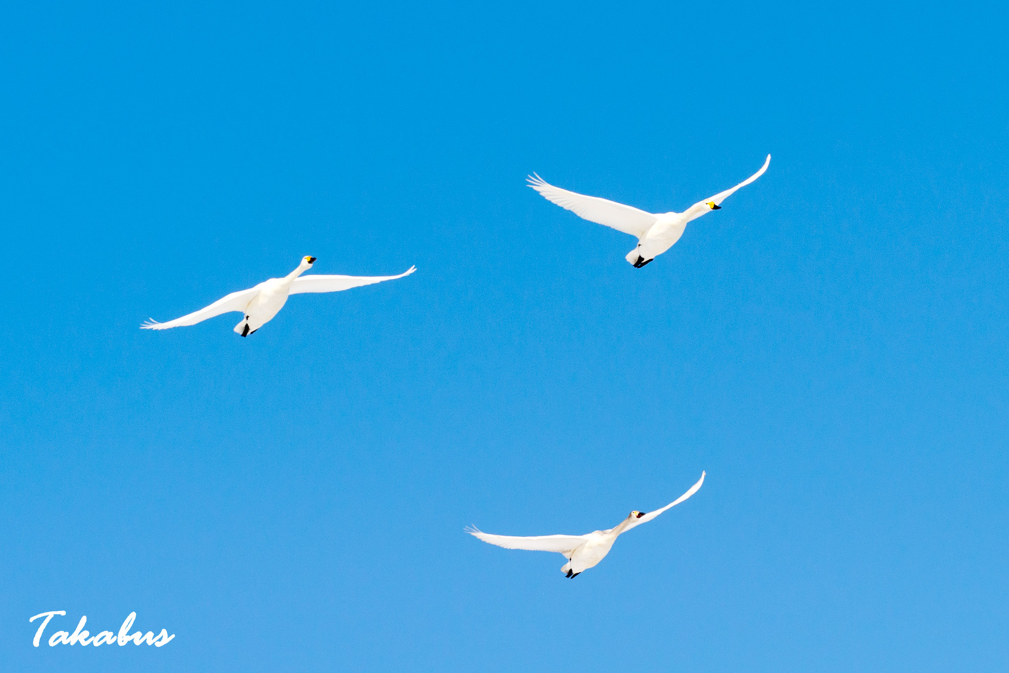 20260215_092912_D610_0404