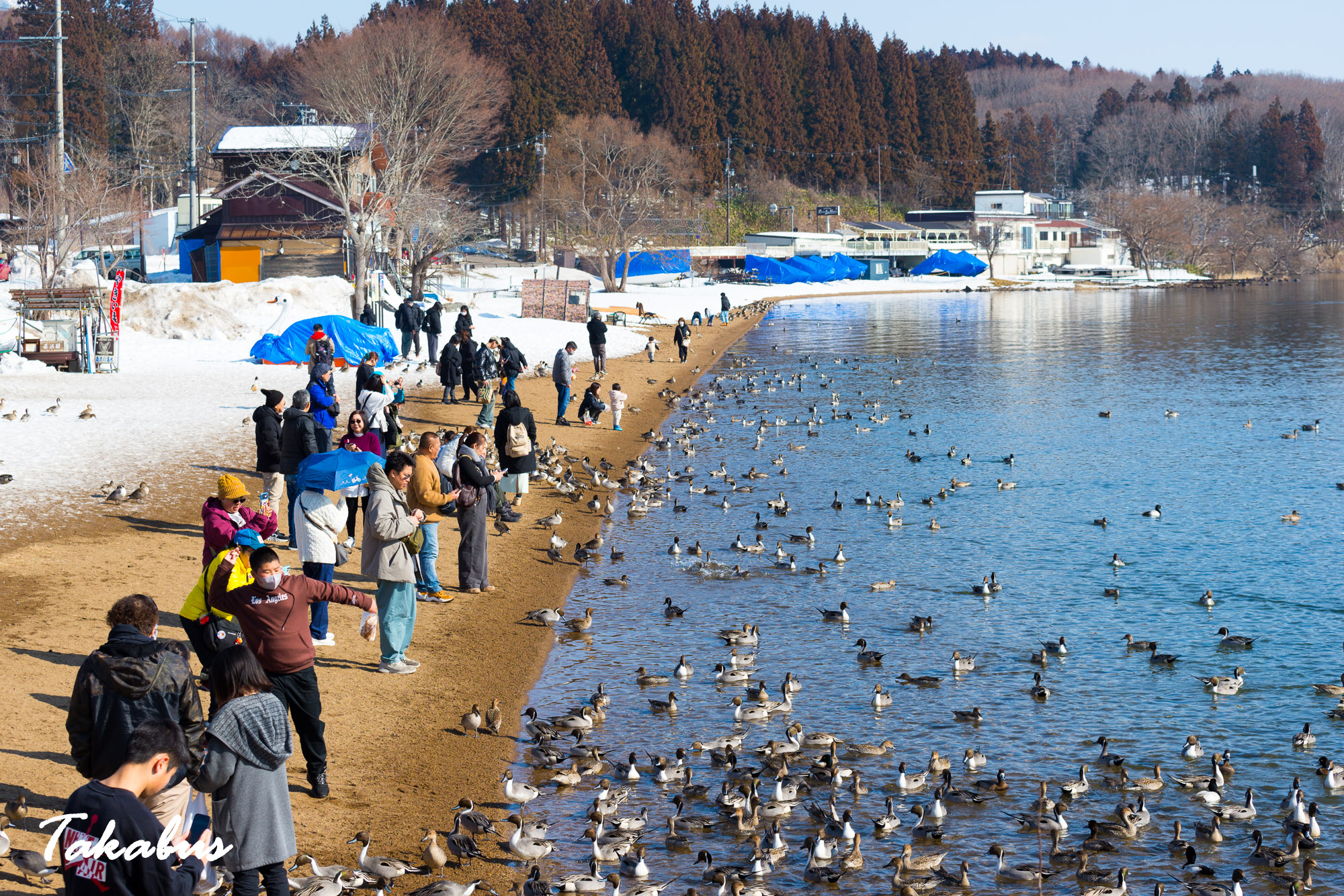 20260215_100934_会津・猪苗代_68