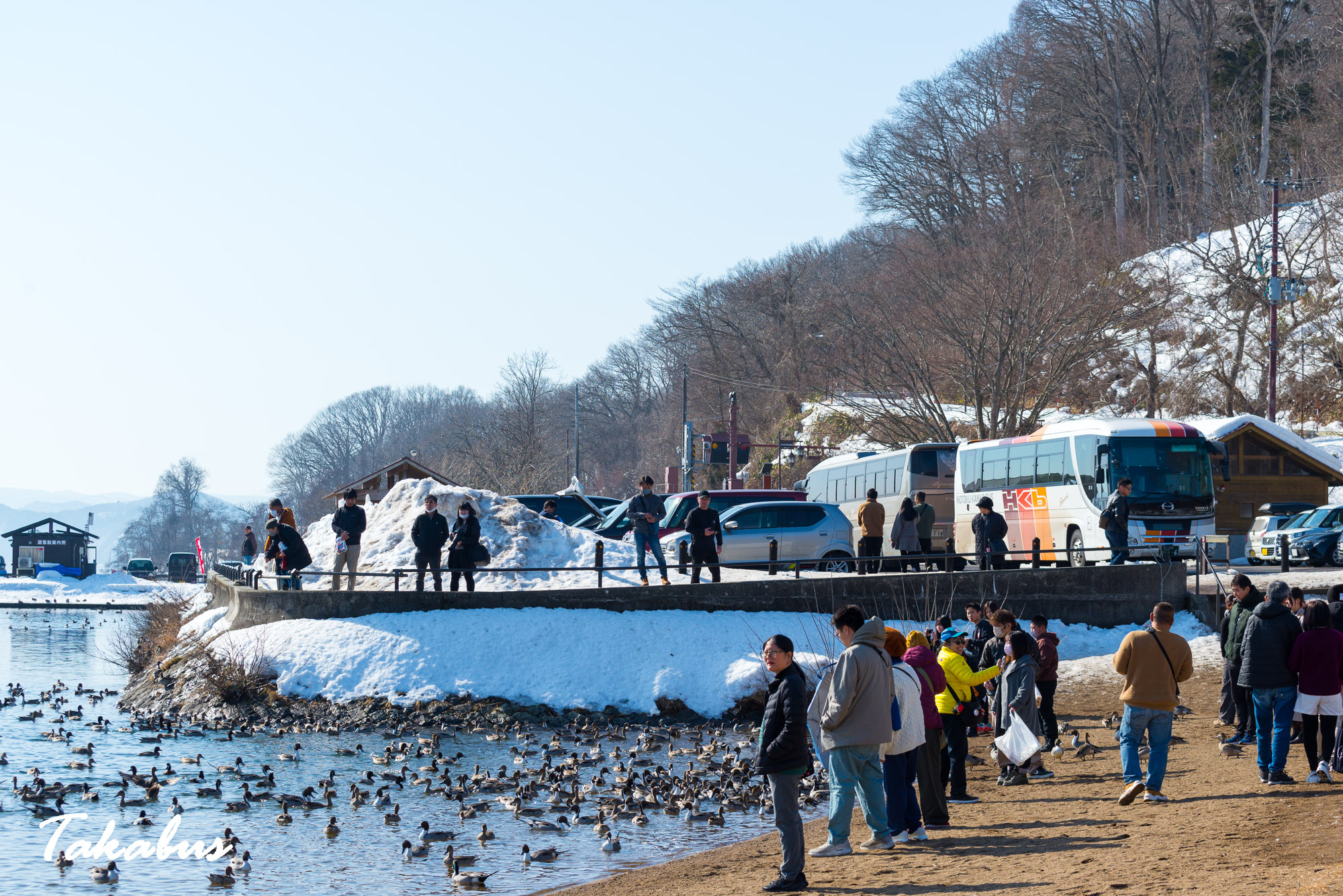 20260215_101218_会津・猪苗代_69