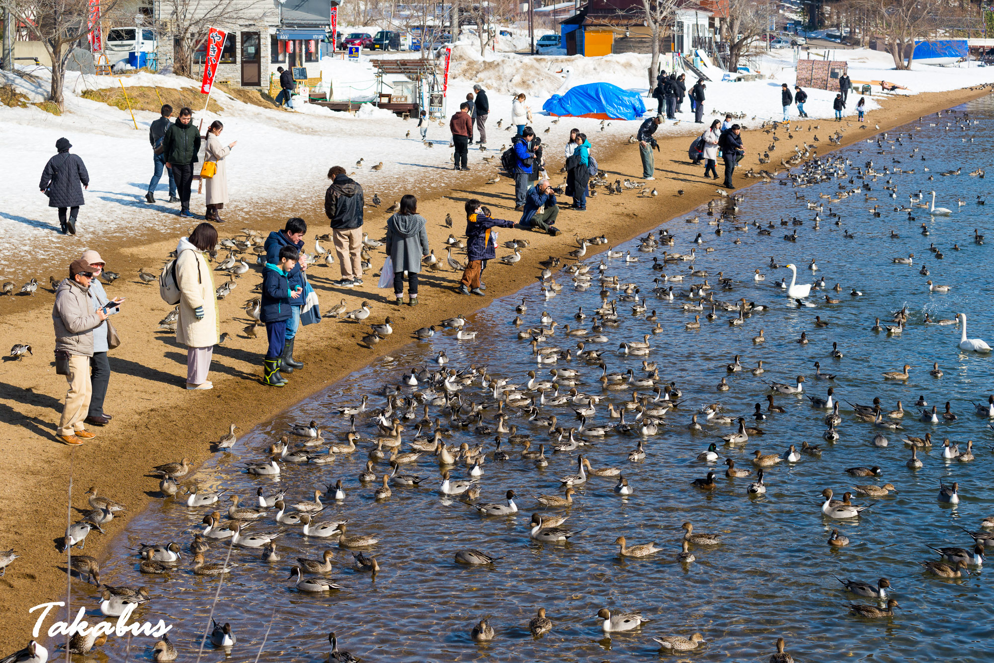 20260215_101732_会津・猪苗代_73