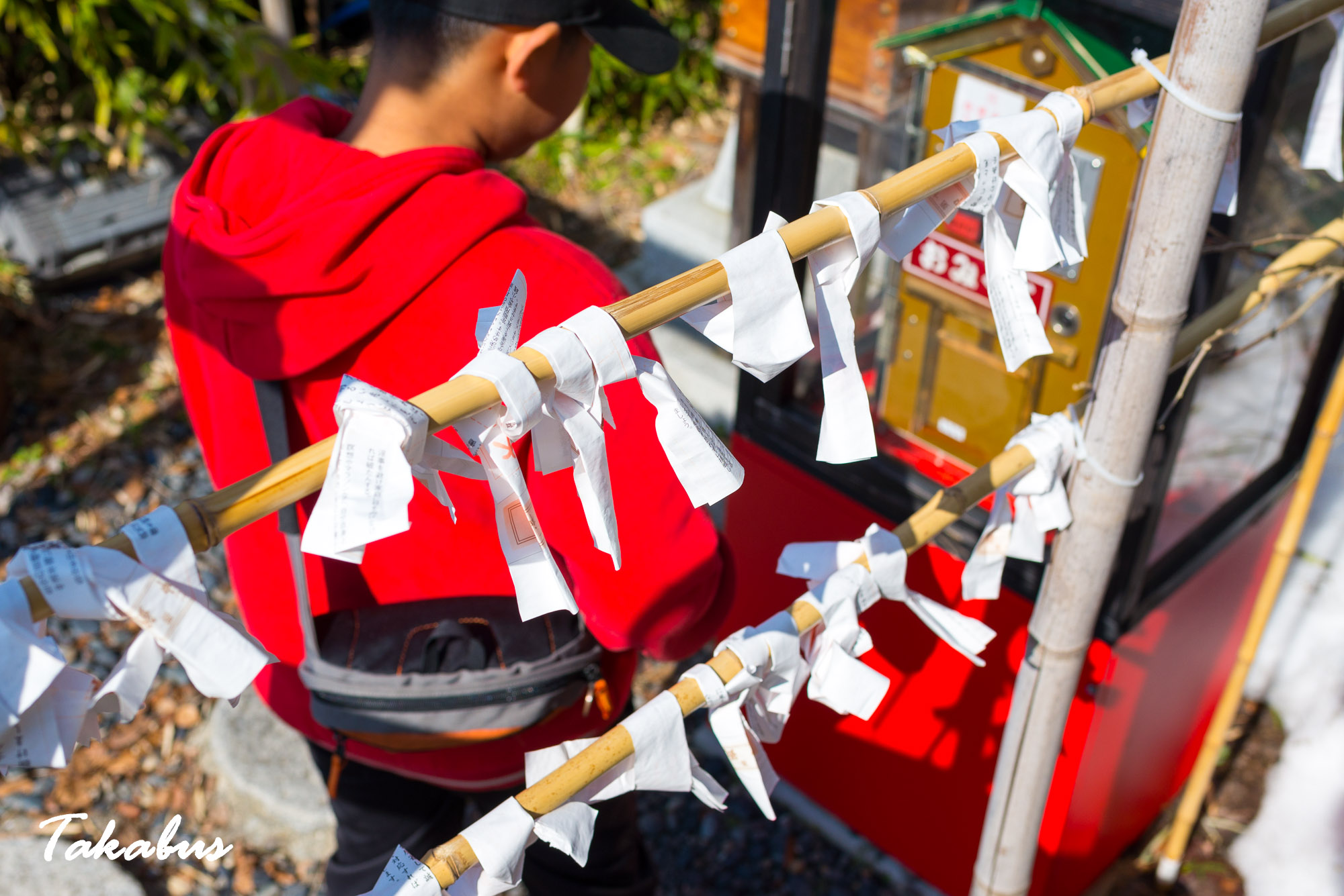 20260215_114603_会津・猪苗代_74