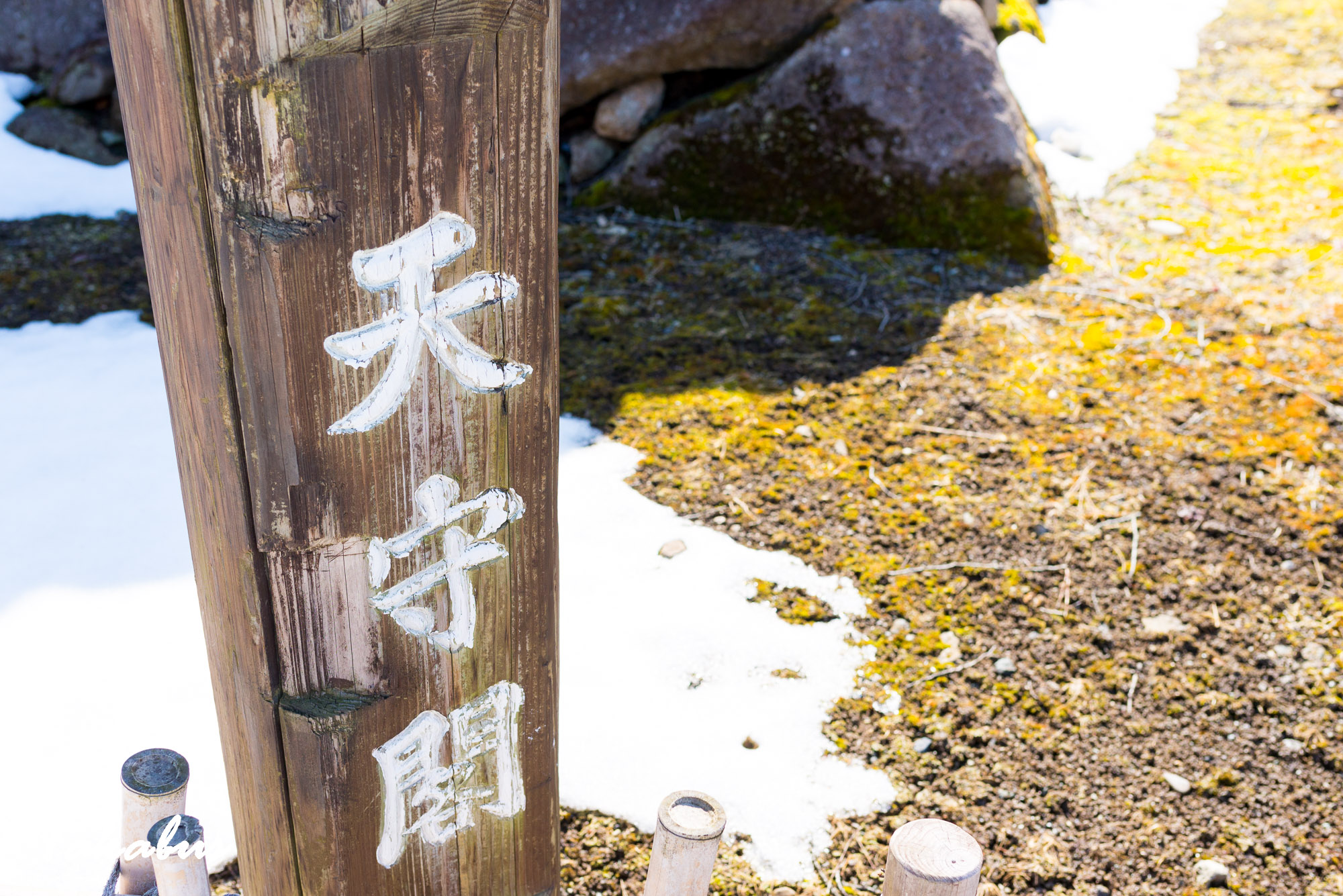 20260215_115555_会津・猪苗代_75