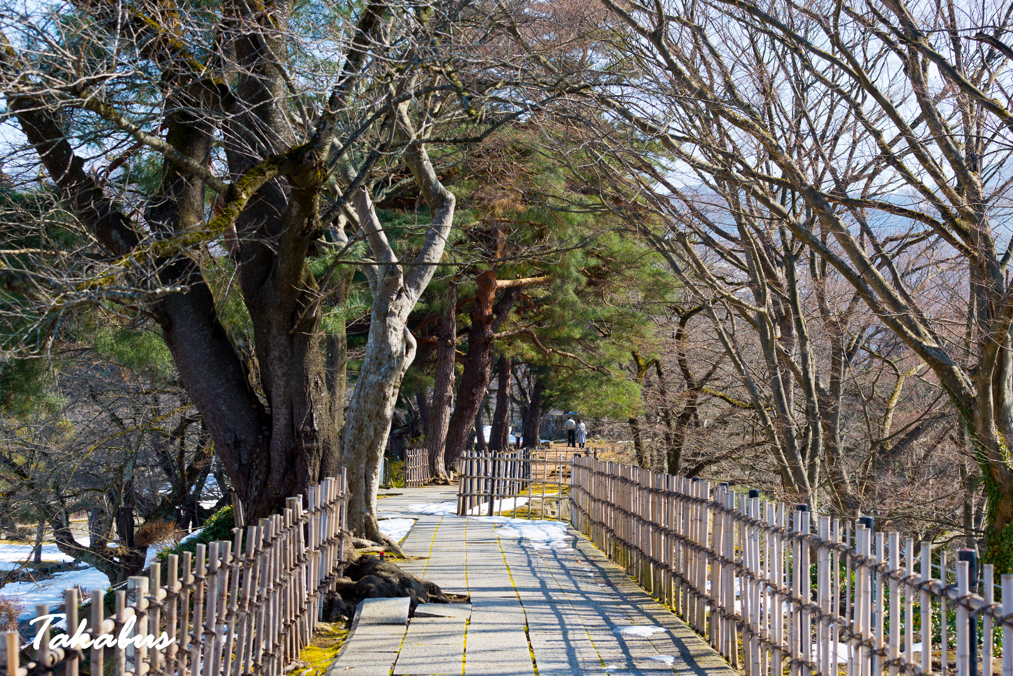 20260215_120729_会津・猪苗代_78