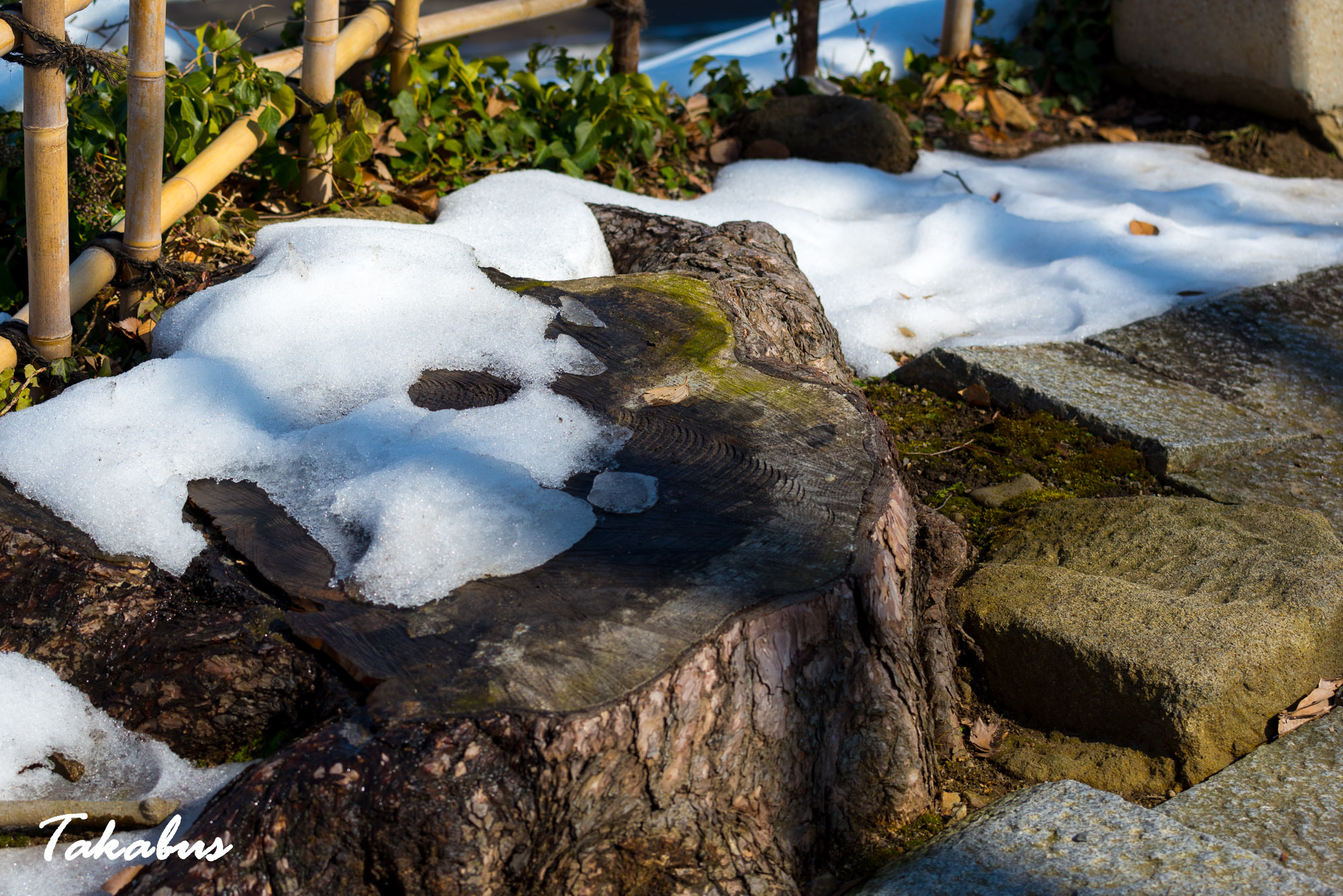 20260215_120831_会津・猪苗代_80