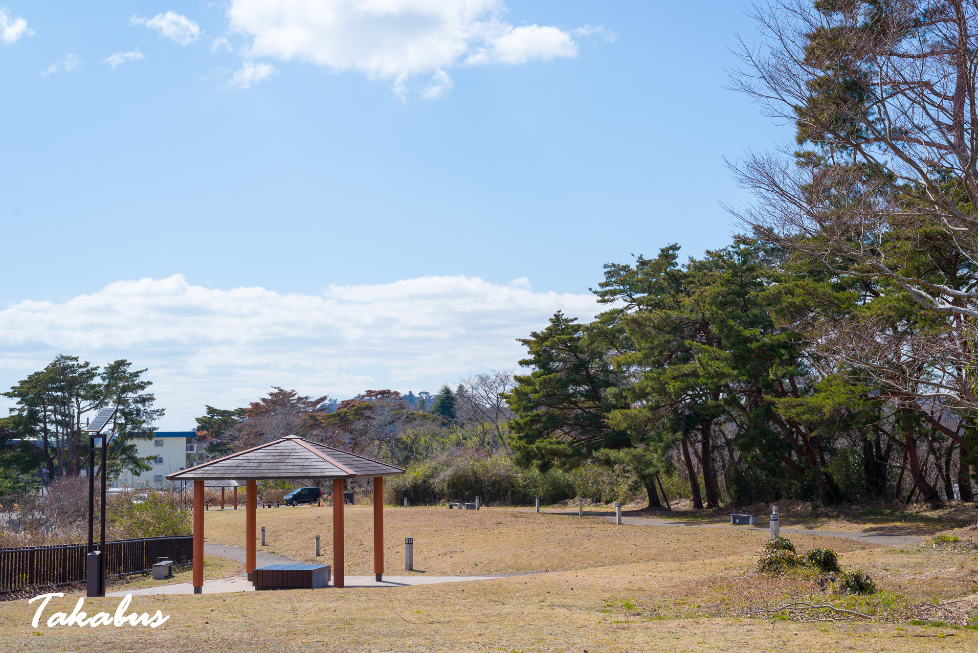 20260311_114031_高城町・松島_04