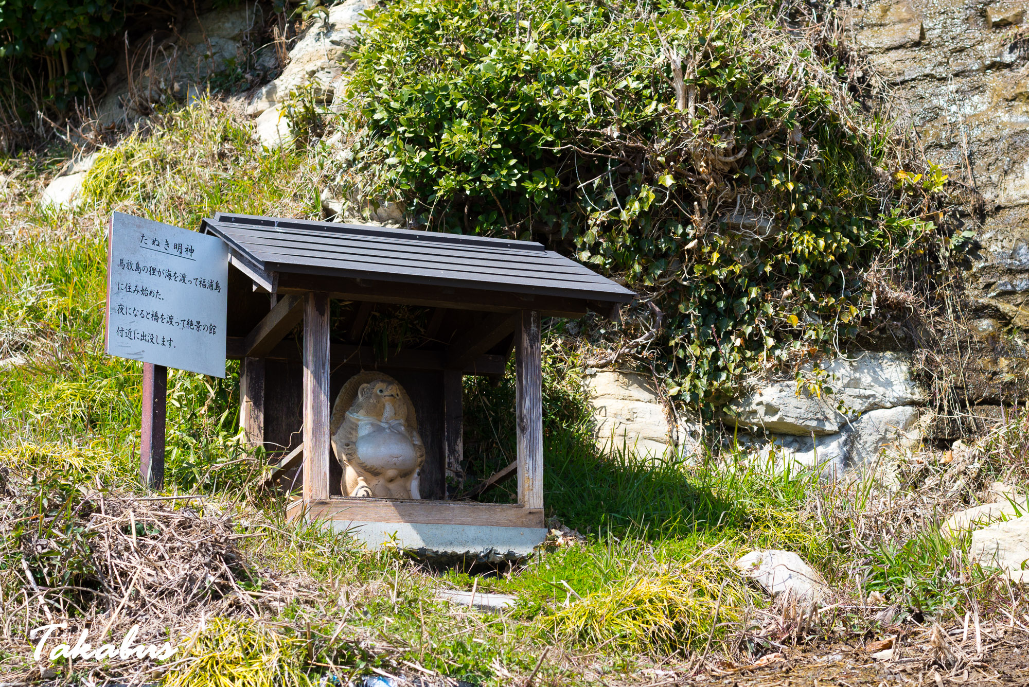 20260311_114900_高城町・松島_09