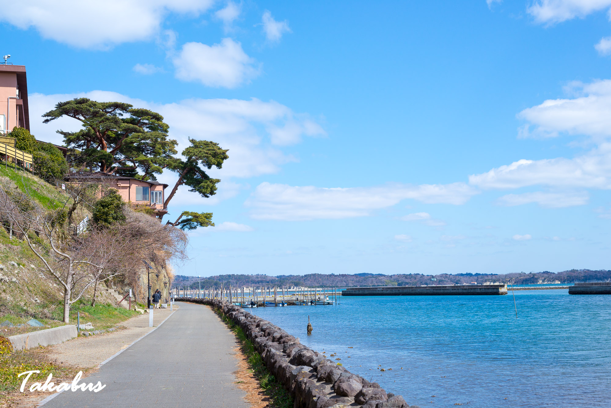 20260311_115000_高城町・松島_10