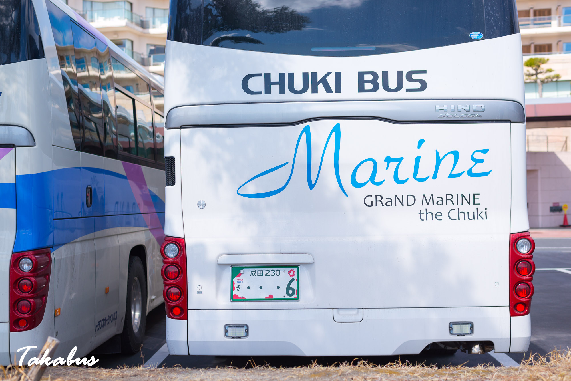 20260311_115348_高城町・松島_11