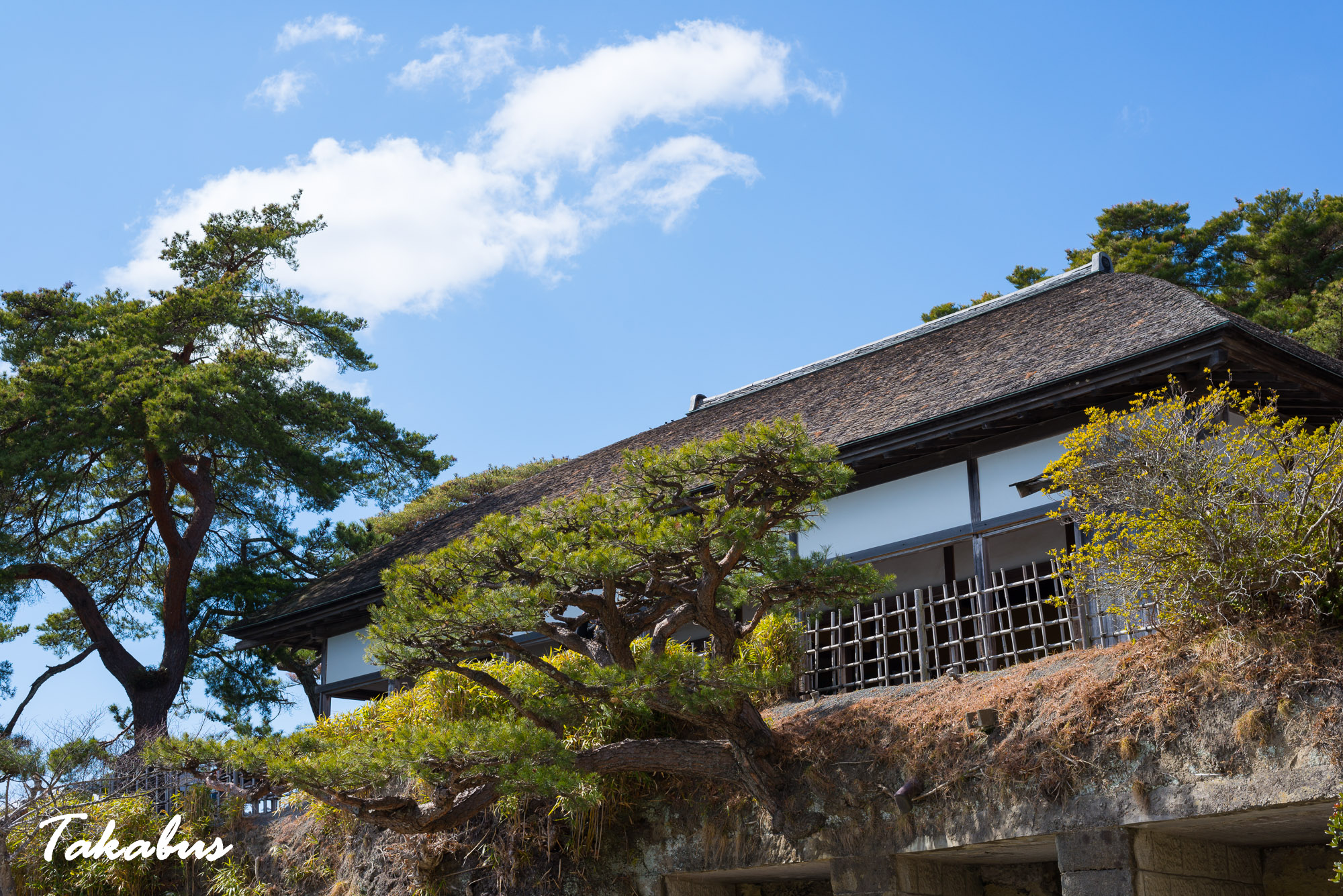 20260311_120120_高城町・松島_17